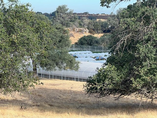 11176 S Camanche Pkwy, Wallace, CA 95354