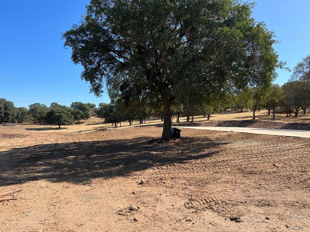 11176 S Camanche Pkwy, Wallace, CA 95354