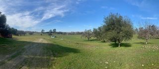 11176 S Camanche Pkwy, Wallace, CA 95354