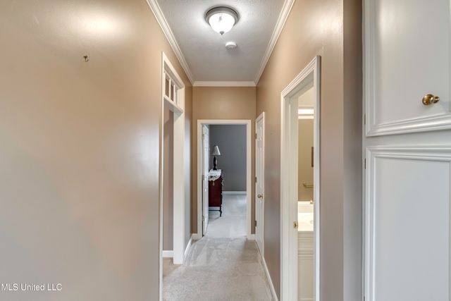 133 Pavilion Drive, Brandon, MS 39042