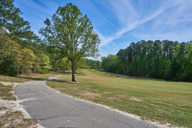 451 Thimbleberry Drive, Vass, NC 28394