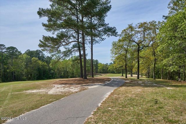 451 Thimbleberry Drive, Vass, NC 28394