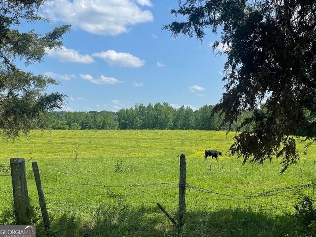 317 Poseyville Road, Bremen, GA 30110