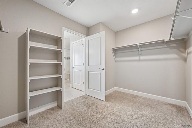 1483 Wingfeather Lane, Castle Rock, CO 80108