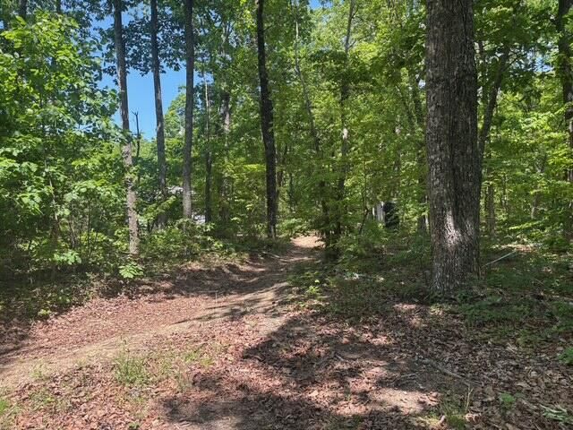 590 Black Mountain Road, Dunlap, TN 37327