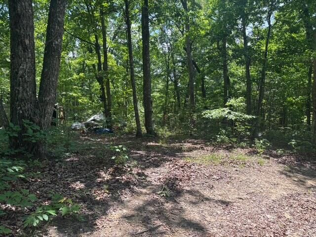 590 Black Mountain Road, Dunlap, TN 37327