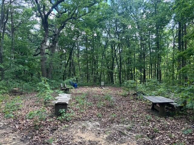 590 Black Mountain Road, Dunlap, TN 37327