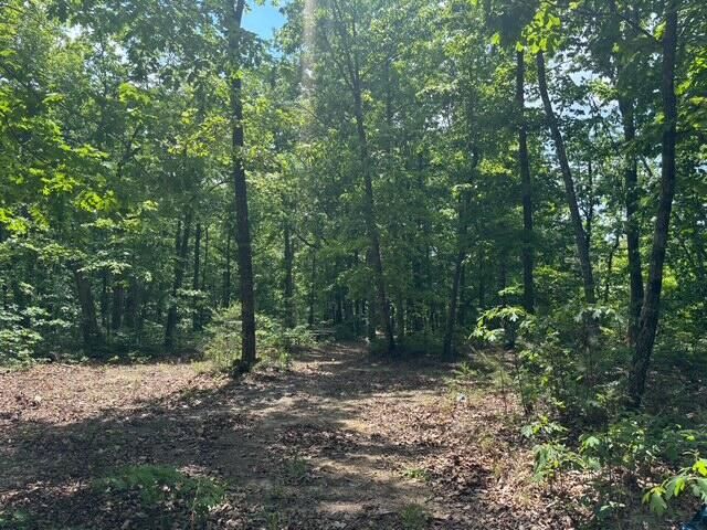 590 Black Mountain Road, Dunlap, TN 37327