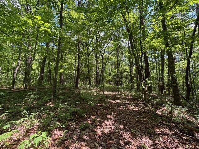 590 Black Mountain Road, Dunlap, TN 37327