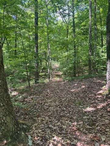 590 Black Mountain Road, Dunlap, TN 37327