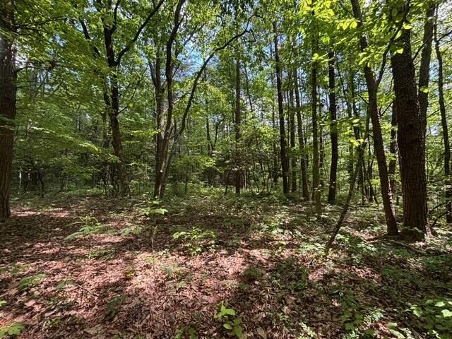 590 Black Mountain Road, Dunlap, TN 37327