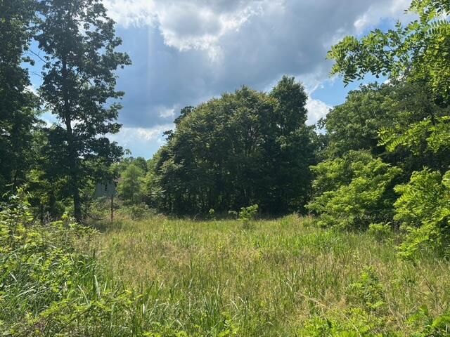 590 Black Mountain Road, Dunlap, TN 37327