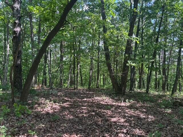 590 Black Mountain Road, Dunlap, TN 37327