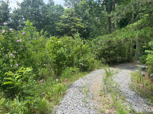 590 Black Mountain Road, Dunlap, TN 37327
