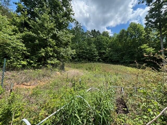 590 Black Mountain Road, Dunlap, TN 37327