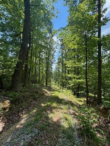 590 Black Mountain Road, Dunlap, TN 37327