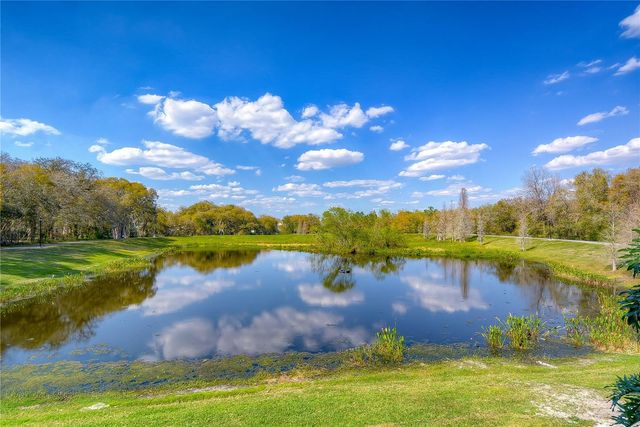 5913 FLATWOODS MANOR CIRCLE, Lithia, FL 33547