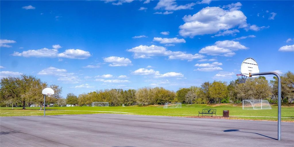 Image 44 of property listing at 5913 FLATWOODS MANOR CIRCLE, Lithia, FL 33547