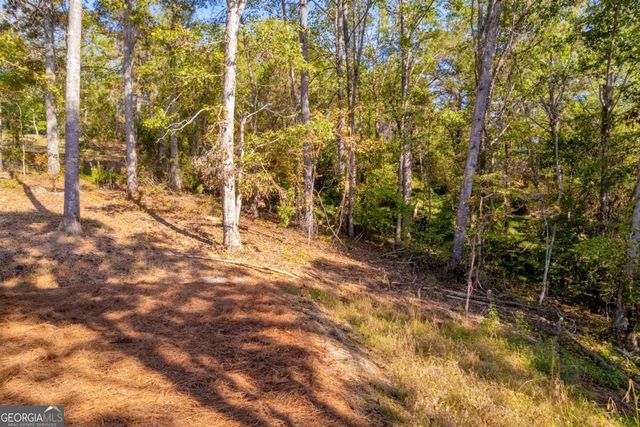 946 Essic Road, Ball Ground, GA 30107