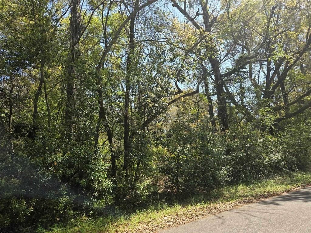 0 3rd Street, Montrose, AL 36559 — photo 3
