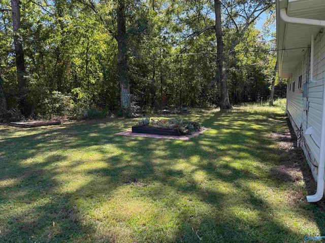 17854 County Road 460, Moulton, AL 35650