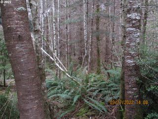 0 Pierson Ln, Coos Bay, OR 97420