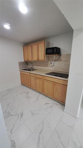 6017 N HALE AVENUE, Tampa, FL 33614