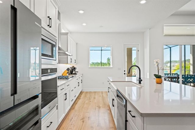 16396 FREHLEY RUN, Land O Lakes, FL 34638