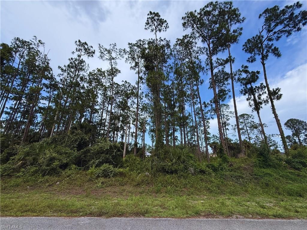 708 Wellington AVE, LEHIGH ACRES, FL 33972 — photo 2