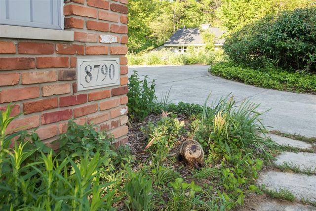 8790 Hendricks Drive, Brighton, MI 48116