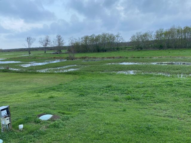 5130 County Road 868e Road, Brazoria, TX 77422