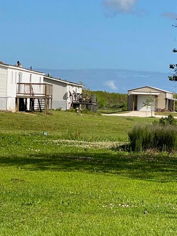 5130 County Road 868e Road, Brazoria, TX 77422