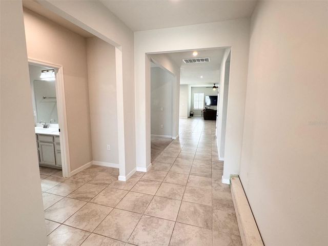 18217 FALLING PINE NEEDLE LANE, Land O Lakes, FL 34638