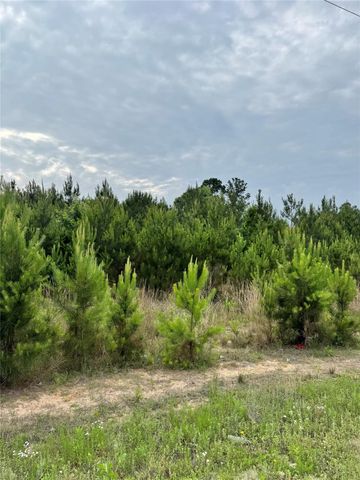 576 County Road 3773, Cleveland, TX 77327