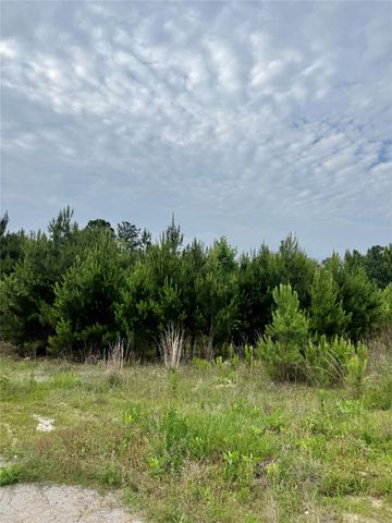 576 County Road 3773, Cleveland, TX 77327