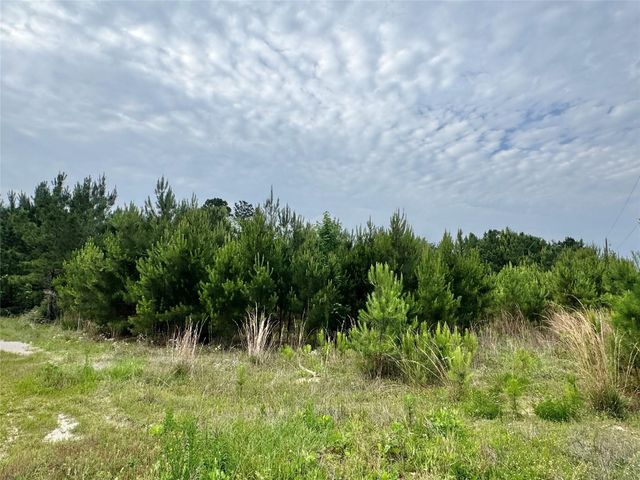 576 County Road 3773, Cleveland, TX 77327