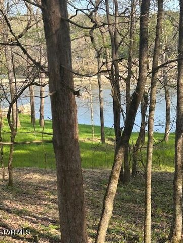 1633 Poplar Springs Road, Greeneville, TN 37743