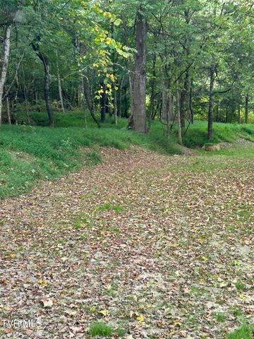 1633 Poplar Springs Road, Greeneville, TN 37743