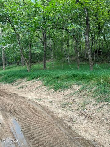 1633 Poplar Springs Road, Greeneville, TN 37743