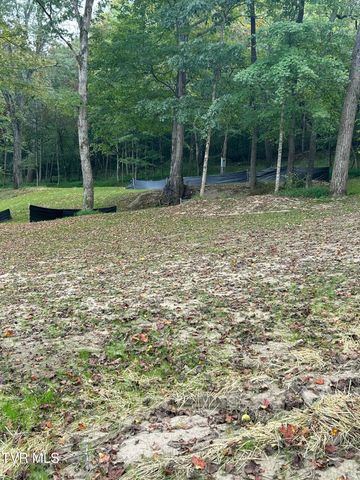 1633 Poplar Springs Road, Greeneville, TN 37743