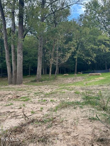 1633 Poplar Springs Road, Greeneville, TN 37743