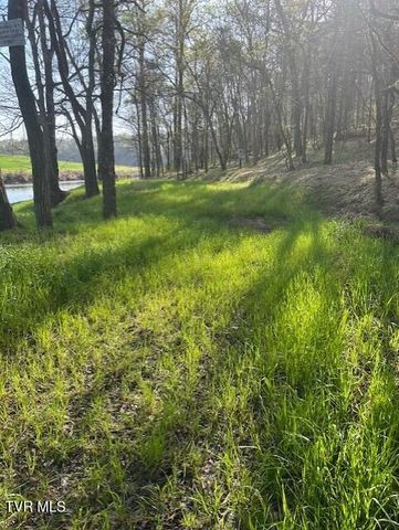 1633 Poplar Springs Road, Greeneville, TN 37743