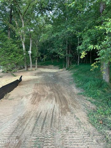 1633 Poplar Springs Road, Greeneville, TN 37743