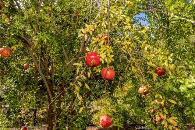 7655 E Silver Dollar Lane, Anaheim Hills, CA 92808