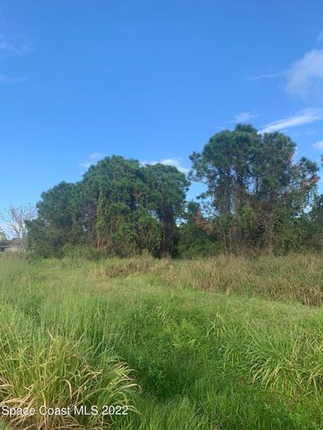 388 Dunlap Avenue SE, Palm Bay, FL 32909
