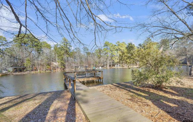 154 Pine Glen, Holly Lake Ranch, TX 75765