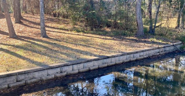 154 Pine Glen, Holly Lake Ranch, TX 75765