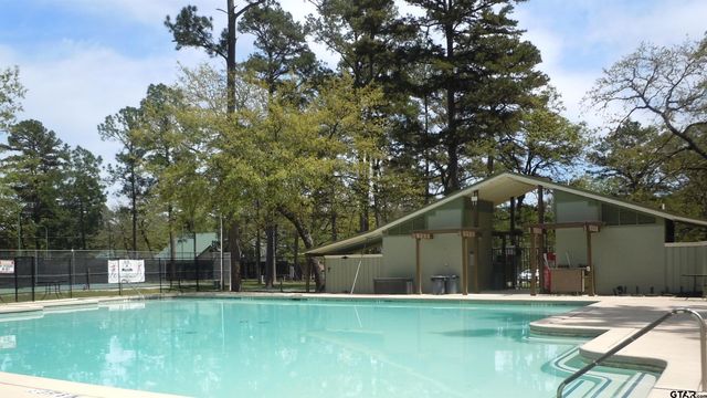 154 Pine Glen, Holly Lake Ranch, TX 75765