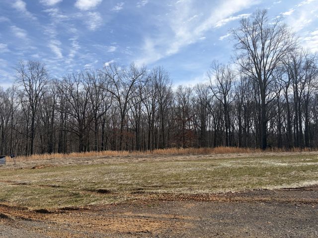 3218 Hunziker Lane, Fairview, TN 37062