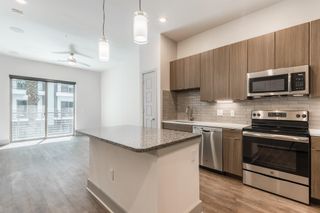 299 W Gray Street 413, Houston, TX 77019